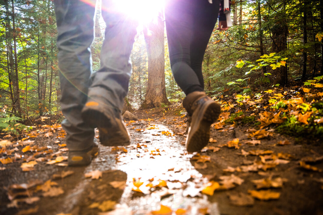 Autumn Activities to Fall in Love With