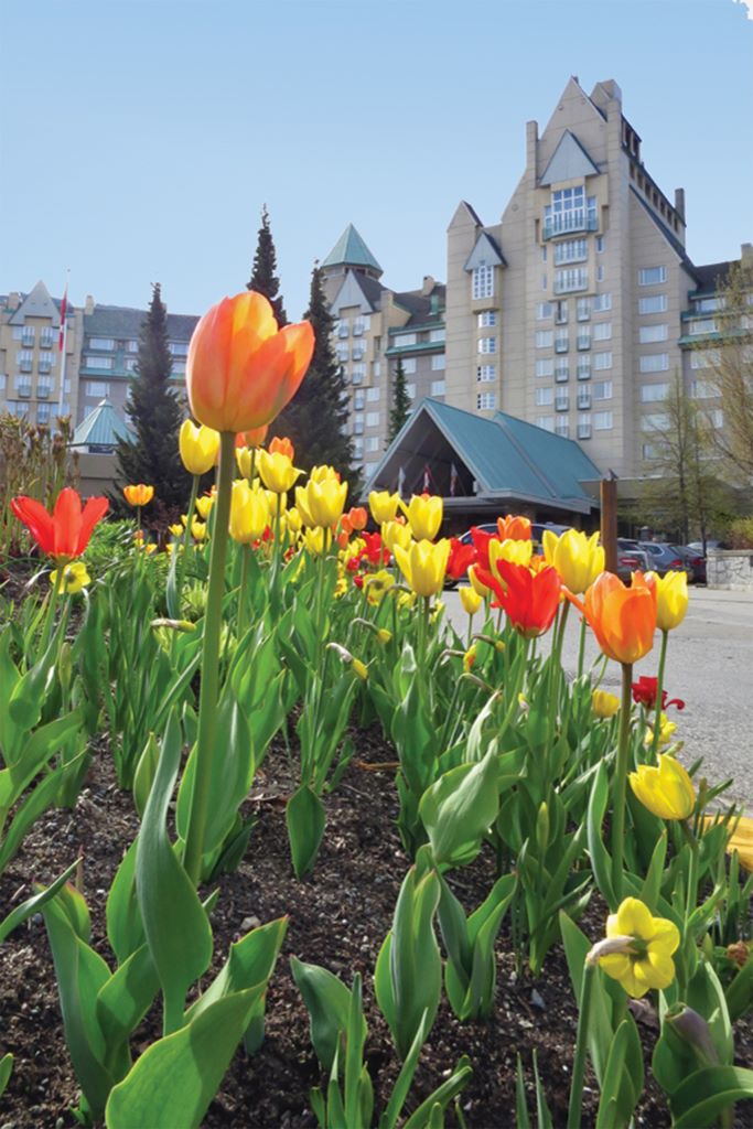 Fairmont Chateau Whistler in Spring with tulips