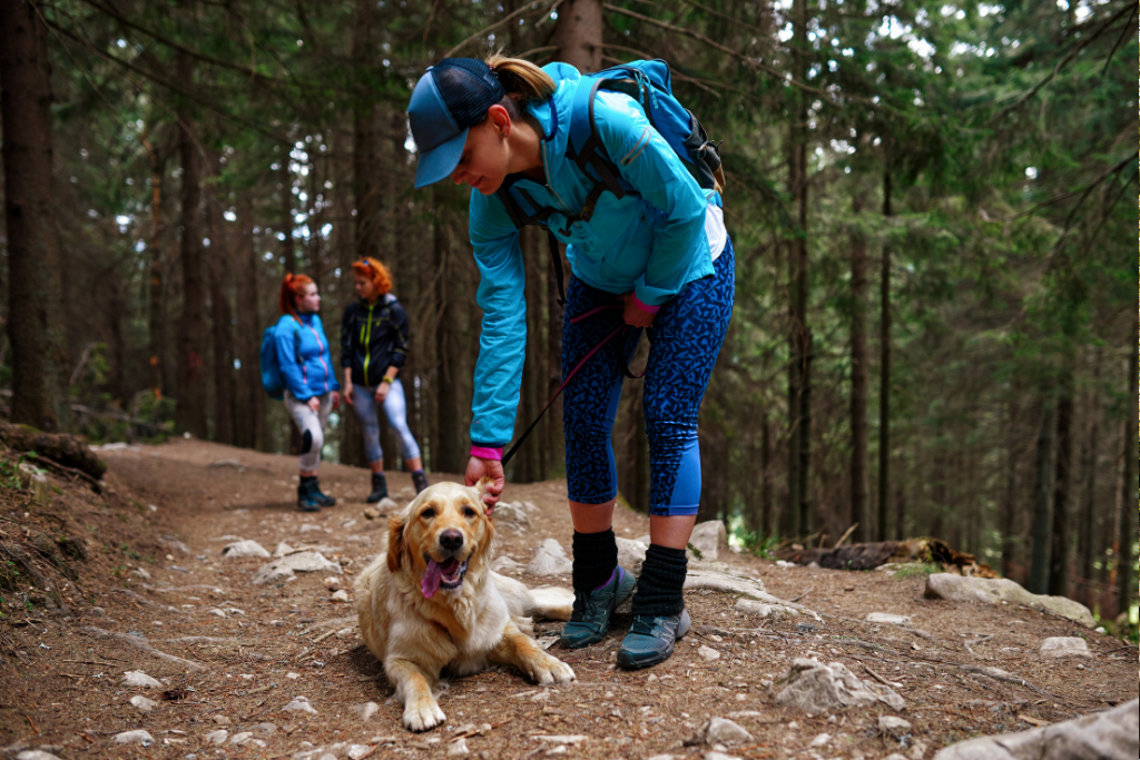 Dog-friendly hiking trails in Whistler - A dog resting on a forest hike - Travelling with your BFF